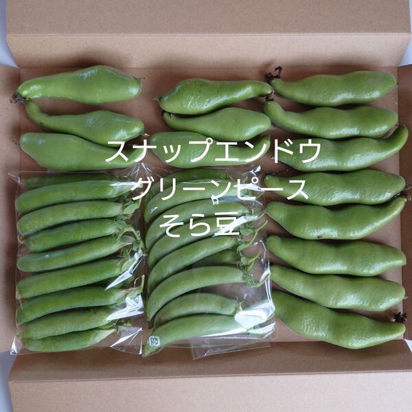 野菜セット スナップエンドウ グリーンピース そら豆