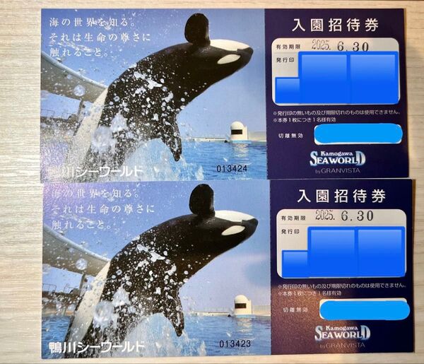 鴨川シーワールド 入園招待券 チケット 割引券 2025年6月30日まで