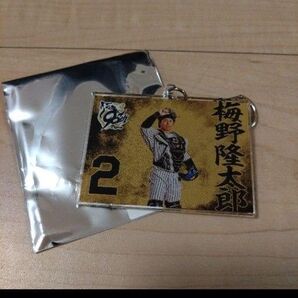 阪神タイガース キーホルダー意気込み 梅野 シークレット
