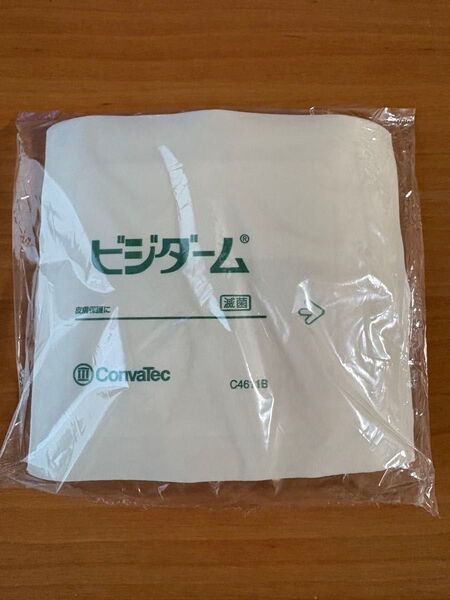 ビジダーム 10㌢X10㌢ 5枚