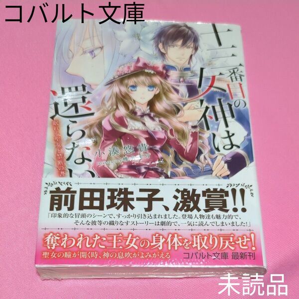 十三番目の女神は還らない 眠れる聖女と禁断の書 (コバルト文庫 こ18-3) 小湊悠貴/著 定価693円税込み価格tl文庫