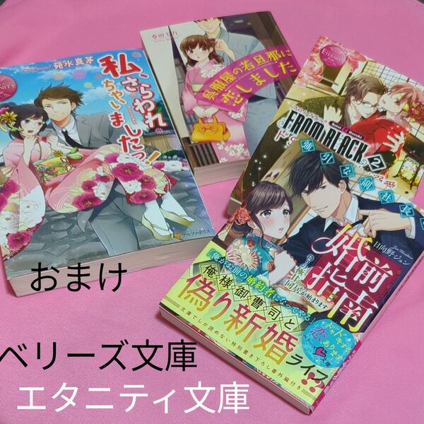 強引な副社長の婚前指南 偽りの極甘同居が始まります (ベリーズ文庫 ひ1-5) 日向野ジュン/著 定価704円税込み価格tl文庫