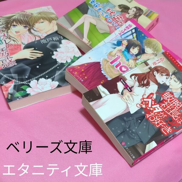 年下カレのシャイな誘惑 (エバーロマンス IY-2) 池戸裕子/著 定価1205円税込み価格tl文庫