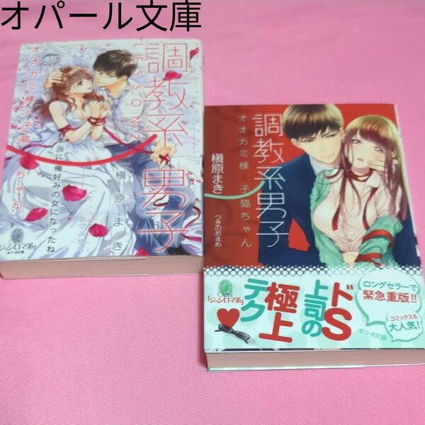 調教系男子 オオカミ様と子猫ちゃん LESSON2 (オパール文庫) 槇原まき/著tl文庫 定価737円税込み価格