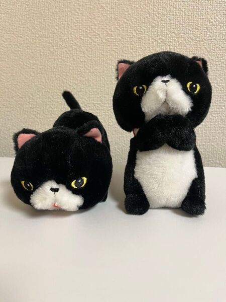 ちんまりマンチカン 猫 黒猫 ぬいぐるみ 2こセット