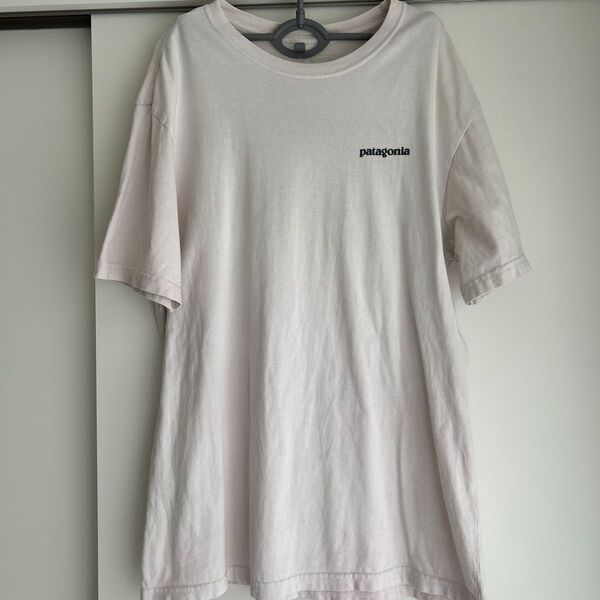 PatagoniaパタゴニアTシャツMサイズ染みあり