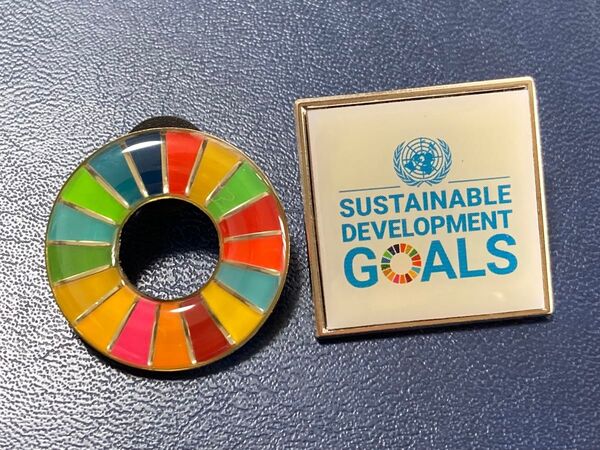 SDGs ピンバッジ 2個セット