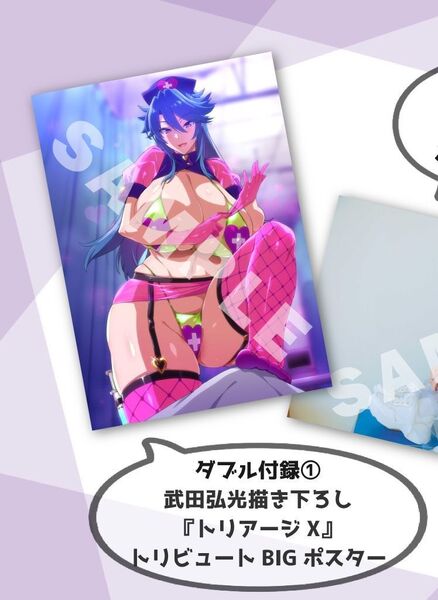 武田弘光 BIGポスター トリアージX トリビュート 月刊 ドラゴンエイジ