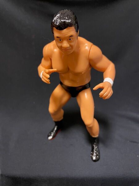 藤波辰爾 プロレス 格闘技 フィギュア