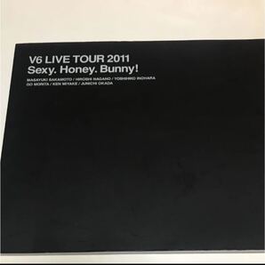 V6 セクバニ パンフレット 2011