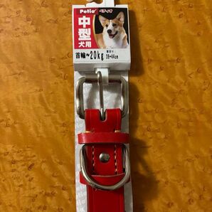 中型犬用首輪