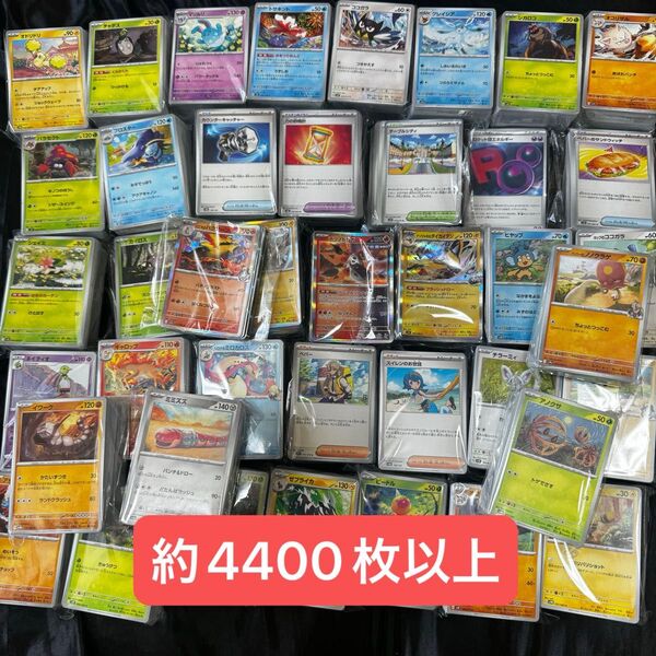 ポケモンカード R キラ ノーマル