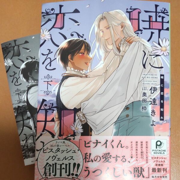 暁に恋を知れ 下 (PISTACHE NOVELS) 伊達きよ/著
