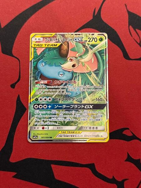 ポケモンカード フシギバナ&ツタージャ GX No.95 フシギバナ ツタージャ