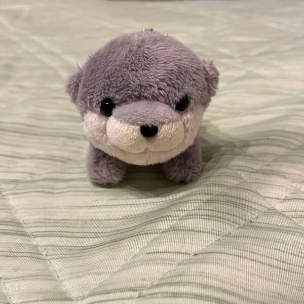 カワウソ ぬいぐるみ キーホルダー