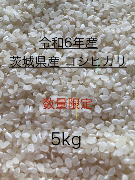 茨城県産 コシヒカリ 5kg