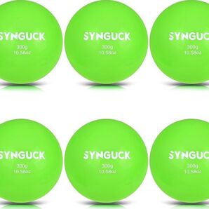 【新品】6パックウェイト付 プライオボール セット 300g
