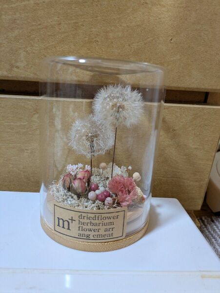 たんぼぼ ボトルフラワー プリザーブドフラワー