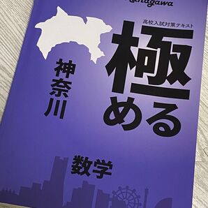 数学 問題集 極める神奈川
