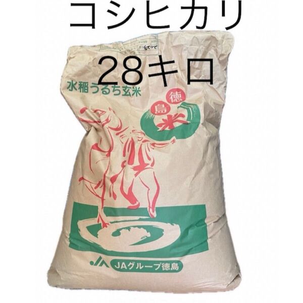 令和5年産徳島県産コシヒカリ 玄米 白米 28kg 古米