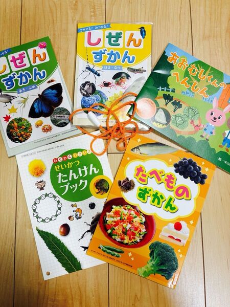 ずかん たんけんブック 絵本 まとめ 色々