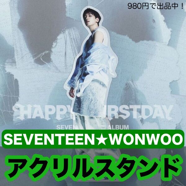 ウォヌ●SEVENTEEN セブチ●15cm全身アクリルスタンド