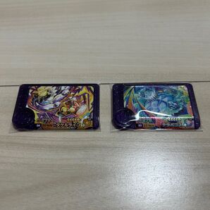 ポケモンフレンダ5弾 スーパートレジャー タケルライコ テラパゴス