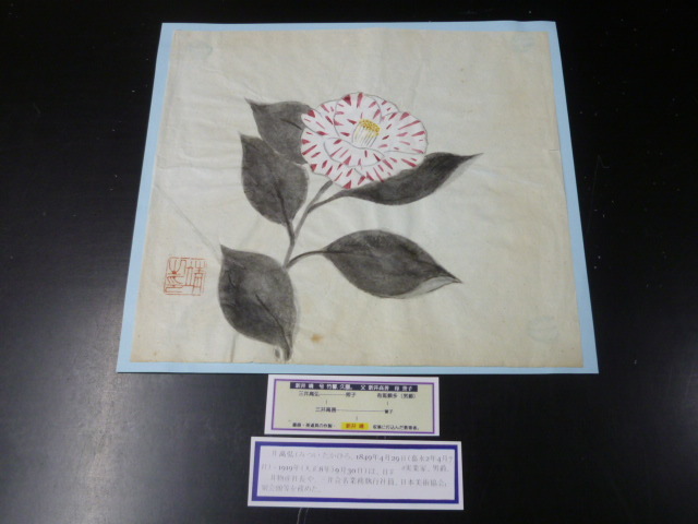 20 S No.34 日本画 新井康手绘(三井贵宏之孙) 花 原画尺寸 约24cm 纵向, 5厘米, 宽度 26, 5厘米, 绘画, 日本画, 其他的