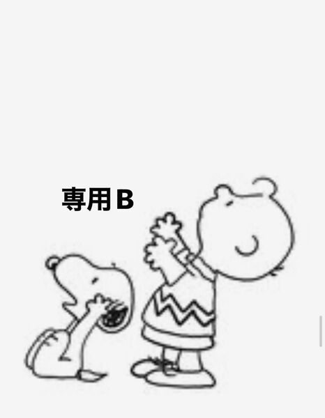 専用B