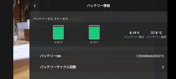 【ほぼ未飛行 充電回数0回 美品】 Mavic Mini プロペラガード付きで収納出来る防水ハードケース入り
