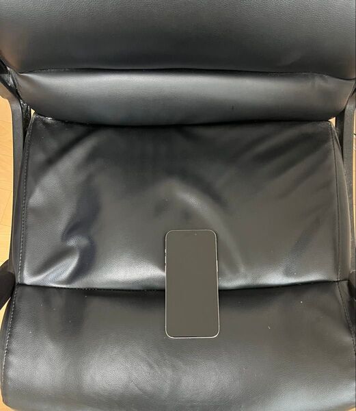 AppleCare有り iPhone15 Pro Max 256GB SIMフリー