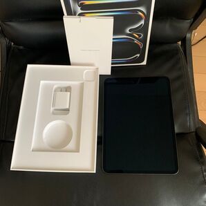 M4 iPad Pro 11インチ 第五世代 第5世代 512GB Wi-Fi+Cellularモデル