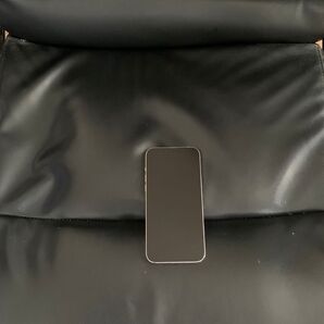 iPhone13 Pro Max 128GB SIMフリー