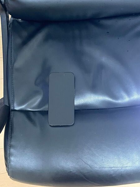 カメラ新品 AppleCare有り iPhone15 Pro 512GB SIMフリー