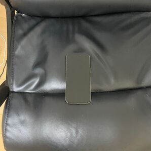 バッテリー100% iPhone15 Pro Max 256GB SIMフリー