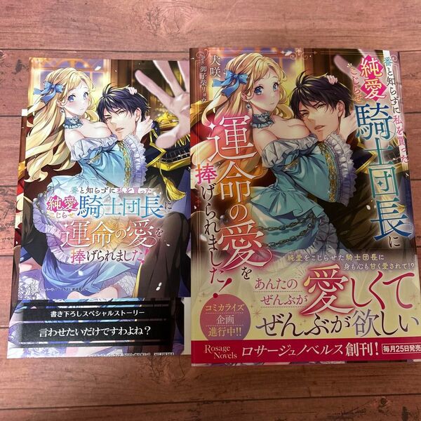 番と知らずに私を買った純愛こじらせ騎士団長に運命の愛を捧げられました! (Rosage Novels) 犬咲/著