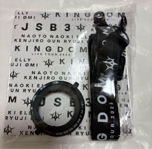 三代目 JSB KINGDOM Light Stick ストラップ ペンライト