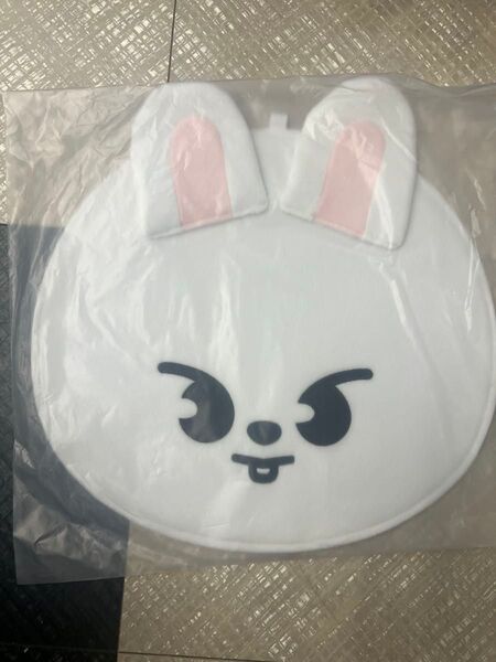 straykids リノ リービット うちわケース 新品 leeknow スキズ