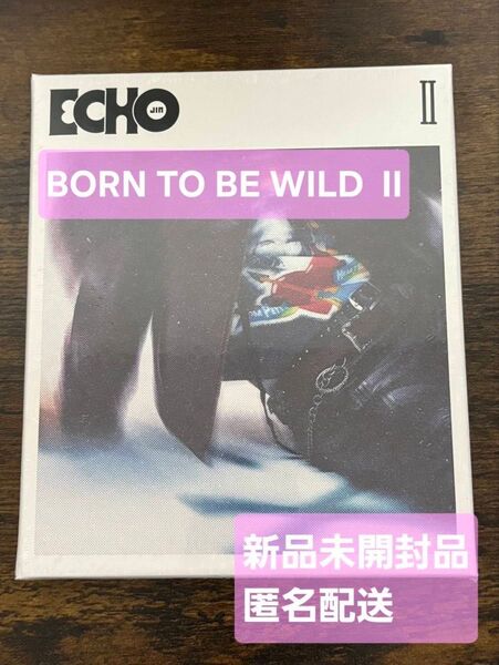 【新品未開封】BTS JIN Echo II