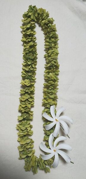 フラダンス レイ & プルメリア髪飾り セット