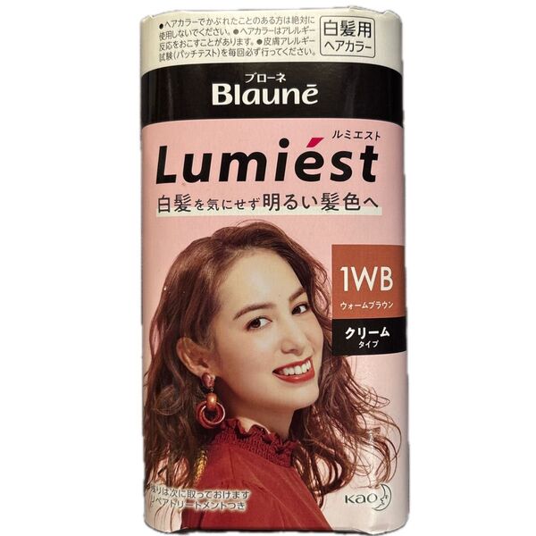 花王 ブローネ ルミエスト ヘアカラークリーム 1WB ウォームブラウン 白髪染め 医薬部外品