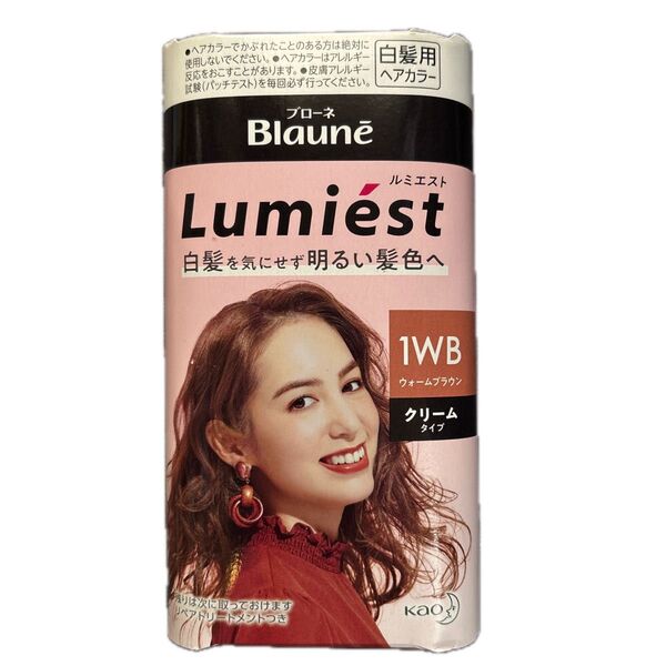 花王ブローネ ルミエスト ヘアカラークリームタイプ1WBウォームブラウン 白髪用ヘアカラー 医薬部外品