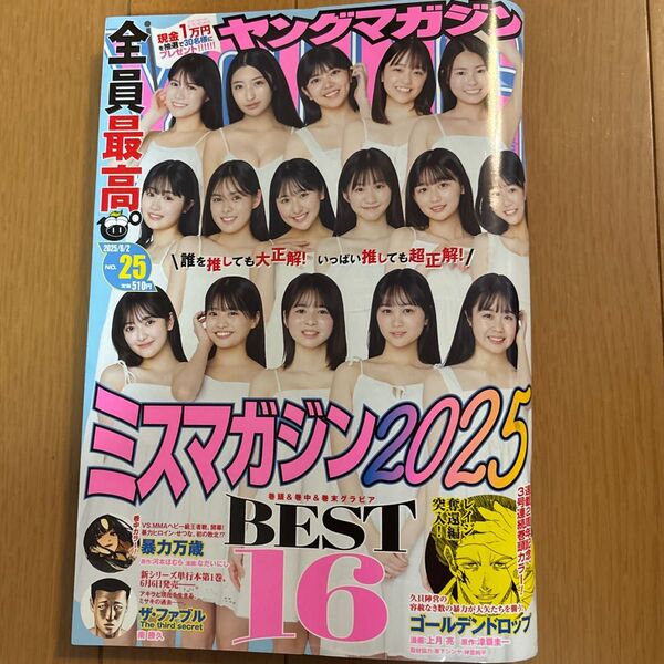 最新号 週刊ヤングマガジン 2025年6/2号 NO.25 ミスマガジン2025