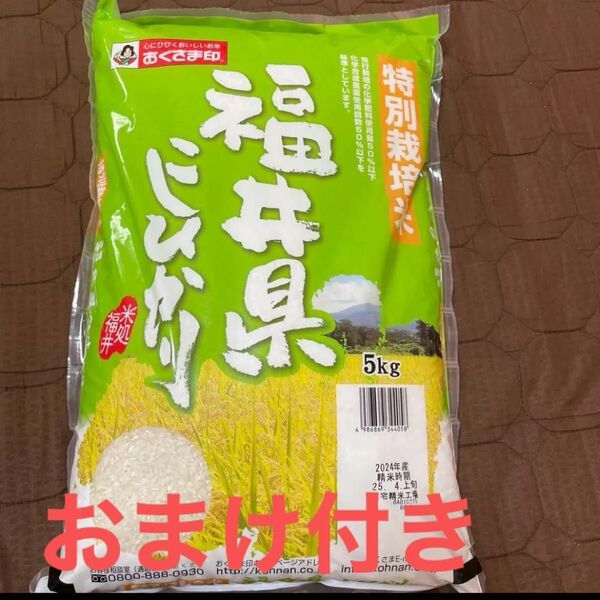 最終値下げ コシヒカリ 10キロ レトルトおまけ付き 4月下旬精米 新潟県産こしひかり10k 5k 2袋 国内産 米 白米