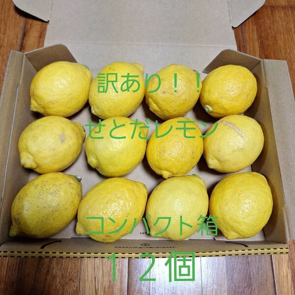 訳あり!!☆せとだレモン☆ コンパクト箱 12個 広島県瀬戸田産