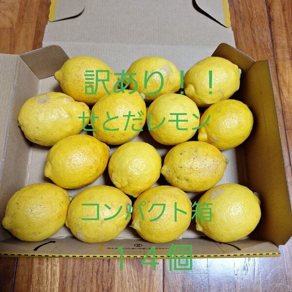 訳あり!!☆せとだレモン☆ コンパクト箱 14個 広島県瀬戸田産