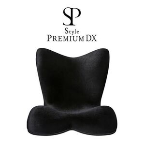 美品 Style PREMIUM DX /リッチ ブラック