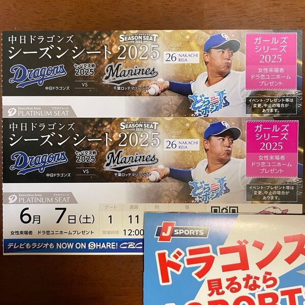 6月7日 中日ドラゴンズ 対 千葉ロッテマリーンズ プラチナシート 交流戦