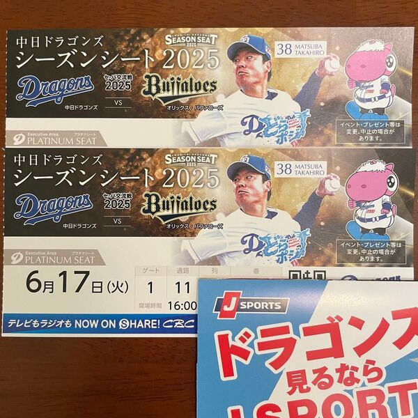 6月17日 中日ドラゴンズ 対 オリックス・バファローズ プラチナシート 交流戦