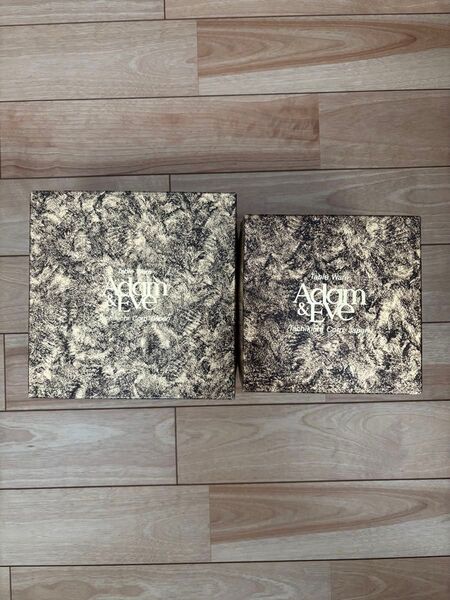 新品未使用 たち吉 Adam & Eve ビアーグラス 5個 スープ皿5枚